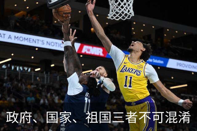 政府、国家、祖国三者不可混淆