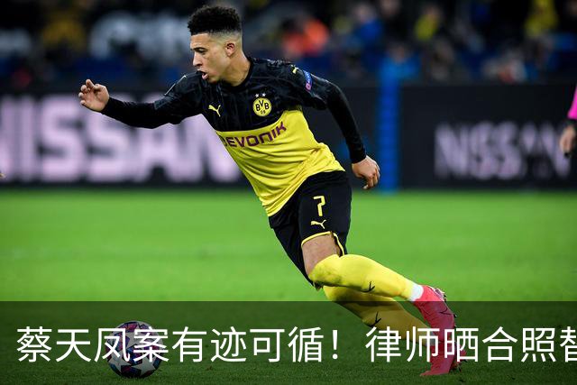 蔡天凤案有迹可循！律师晒合照替司机喊冤，绞肉机提前16天就买好