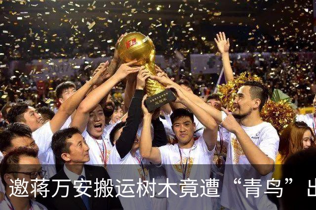邀蒋万安搬运树木竟遭“青鸟”出征,清洁队长:我好内疚、很难过